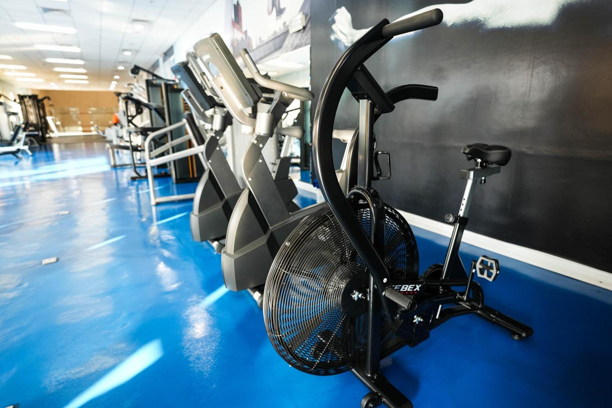 罗达阿尔布斯坦酒店 迪拜 外观 照片 Air bike