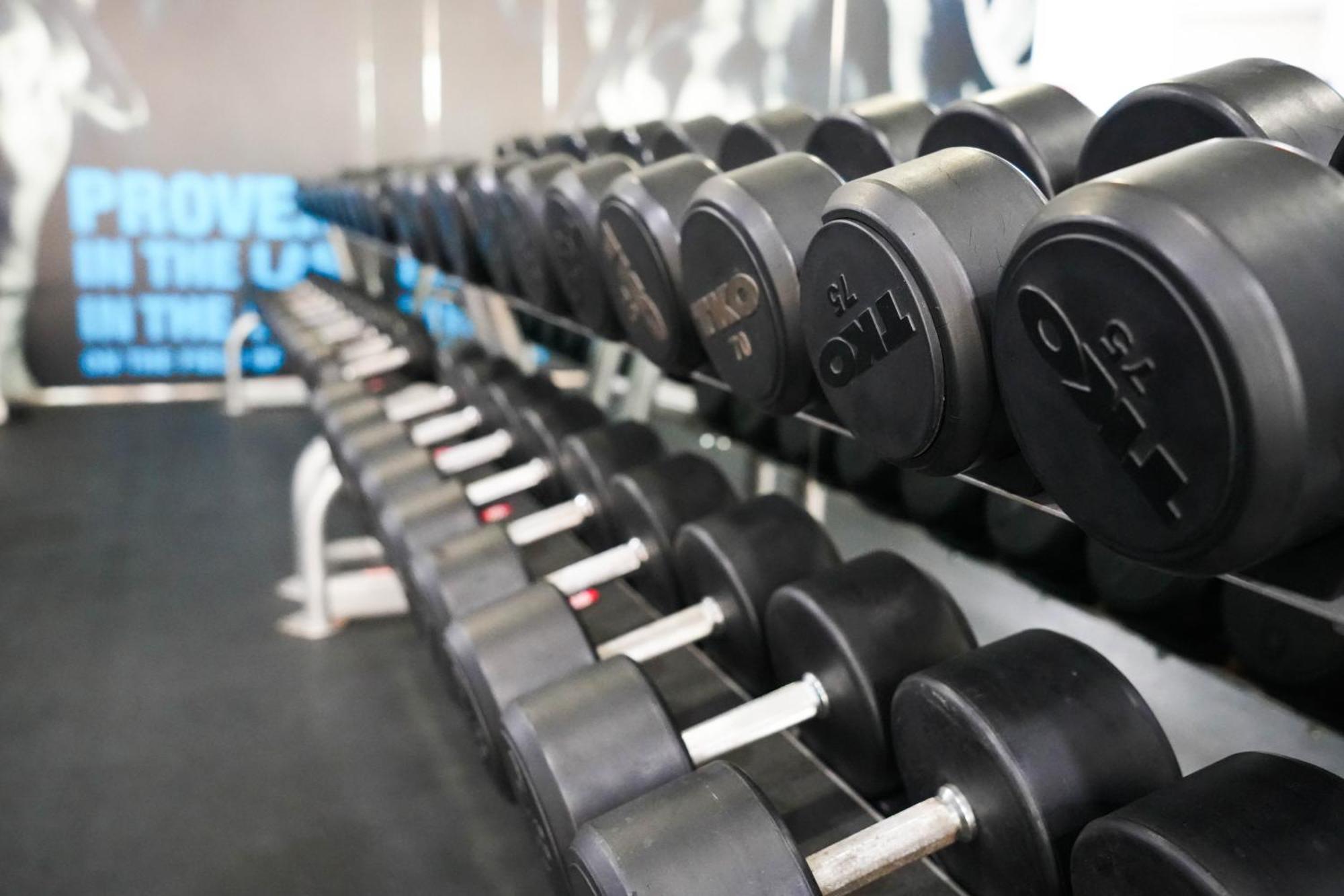 罗达阿尔布斯坦酒店 迪拜 外观 照片 Dumbbells on a rack